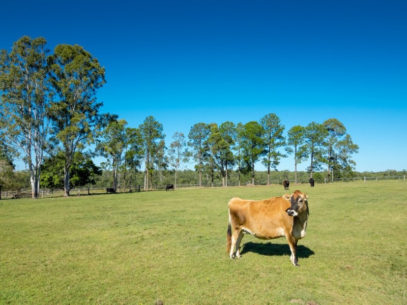 283 Beelbi Creek Road, Beelbi Creek QLD 4659