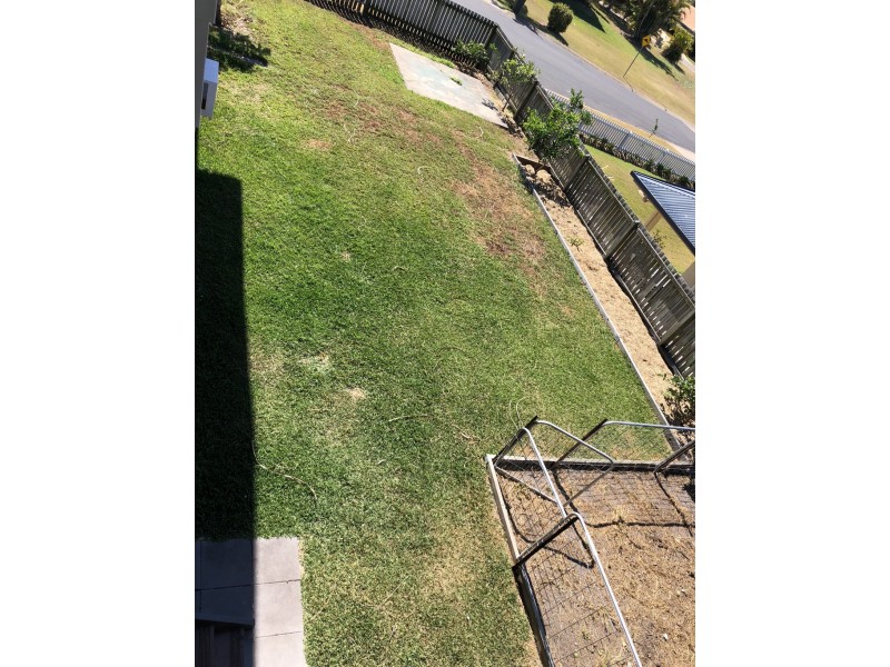 51 Birrabeen Avenue, Pialba QLD 4655