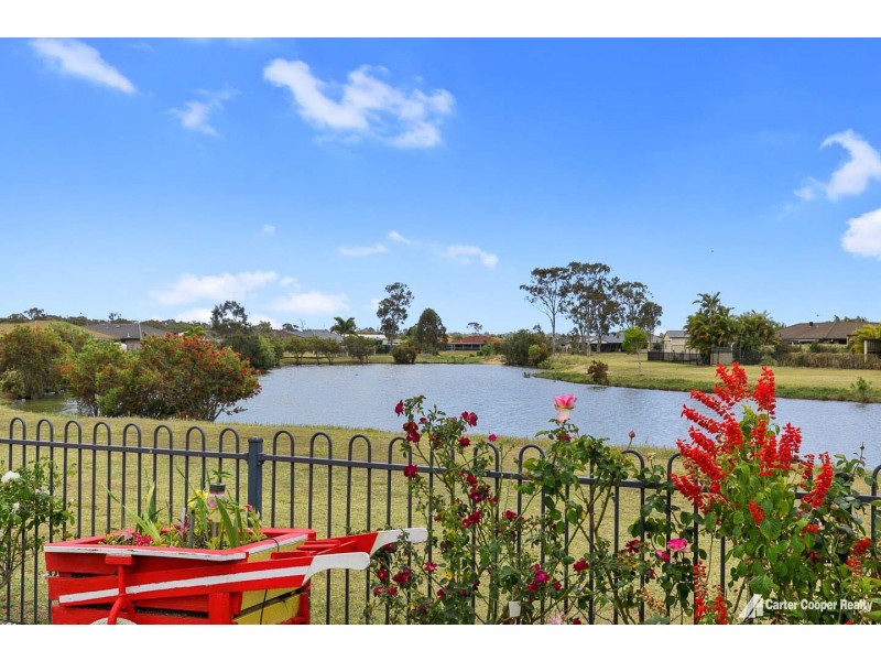 12 Bronton Way, Point Vernon QLD 4655