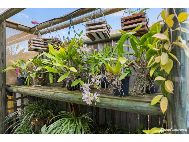 12 Bronton Way, Point Vernon QLD 4655