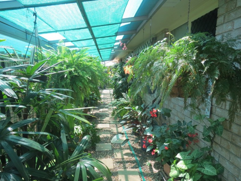 98 Wattle Street, Point Vernon QLD 4655