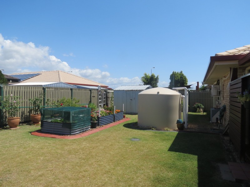 98 Wattle Street, Point Vernon QLD 4655