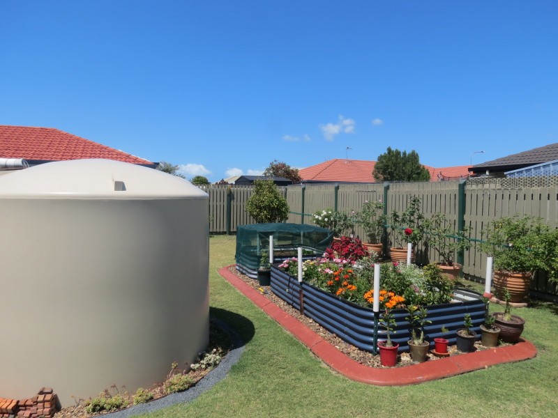 98 Wattle Street, Point Vernon QLD 4655