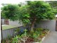 4/376 Esplanade, Scarness QLD 4655