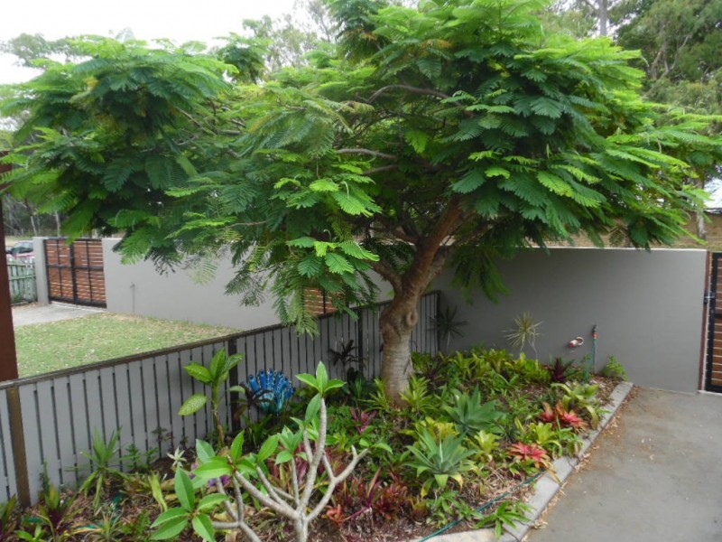 4/376 Esplanade, Scarness QLD 4655