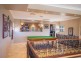 190 Esplanade, Point Vernon QLD 4655