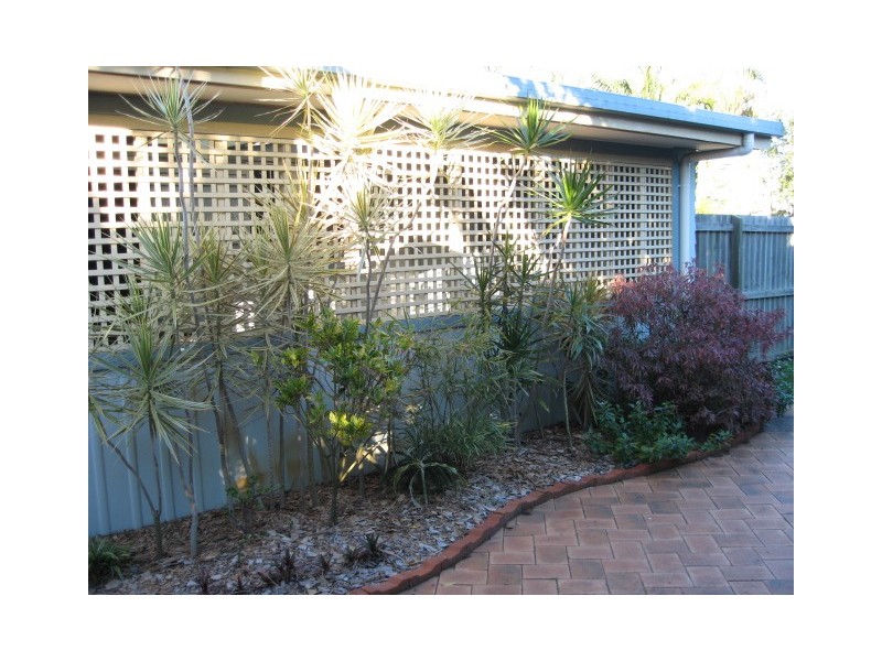 25 Robert Street, Torquay QLD 4655