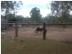 83 Barranjoey, Sunshine Acres QLD 4655