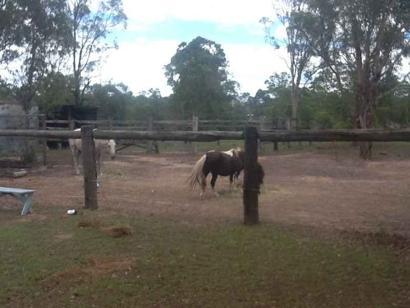 83 Barranjoey, Sunshine Acres QLD 4655