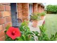 Urangan QLD 4655