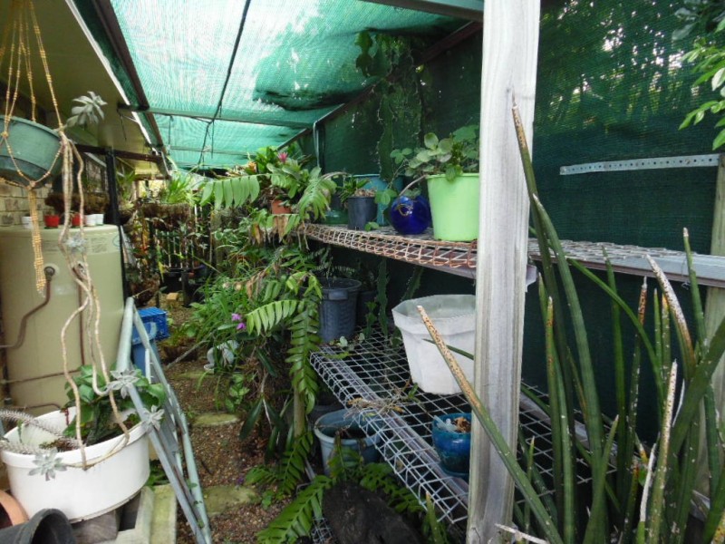 7 Elliot Crt, Eli Waters QLD 4655