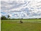142 Beelbi Creek Road, Beelbi Creek QLD 4659