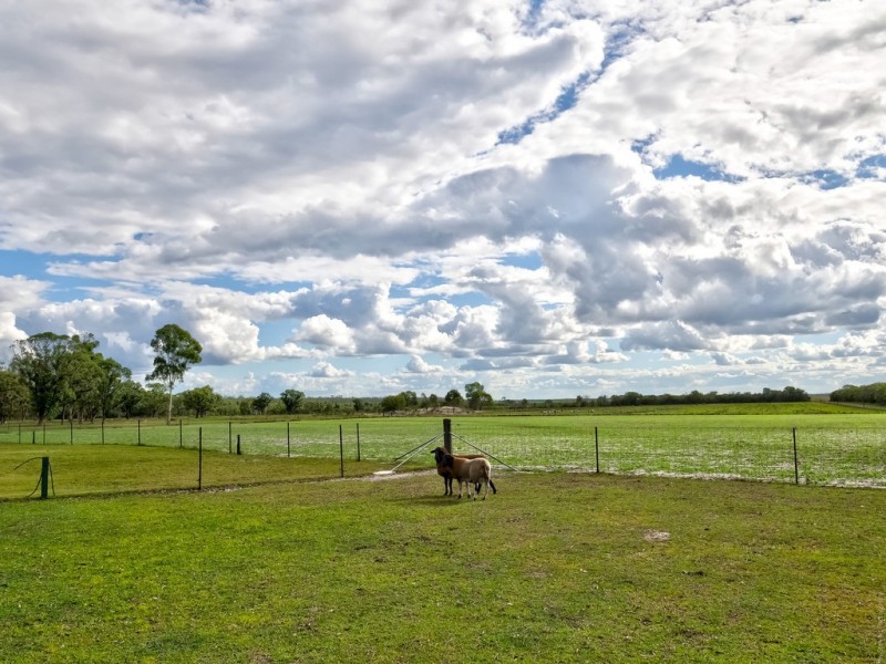 142 Beelbi Creek Road, Beelbi Creek QLD 4659