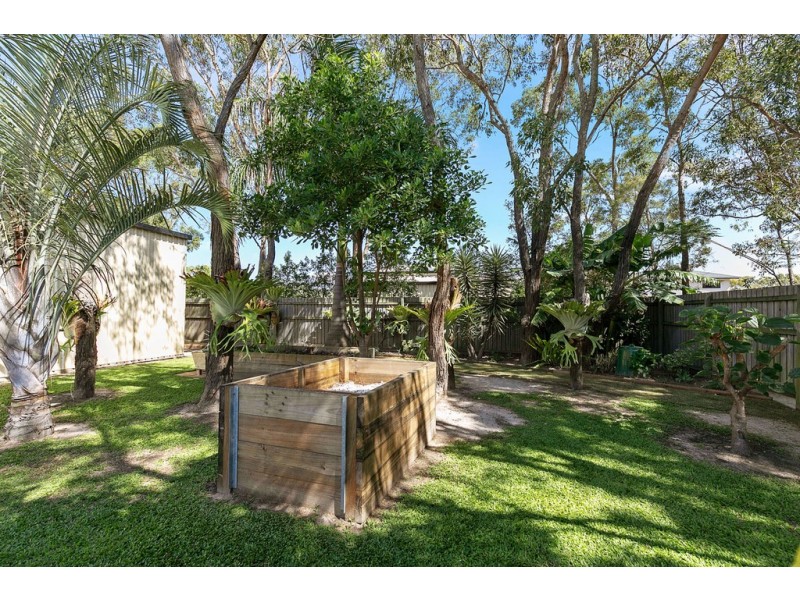 19 Amstal Avenue, Wondunna QLD 4655