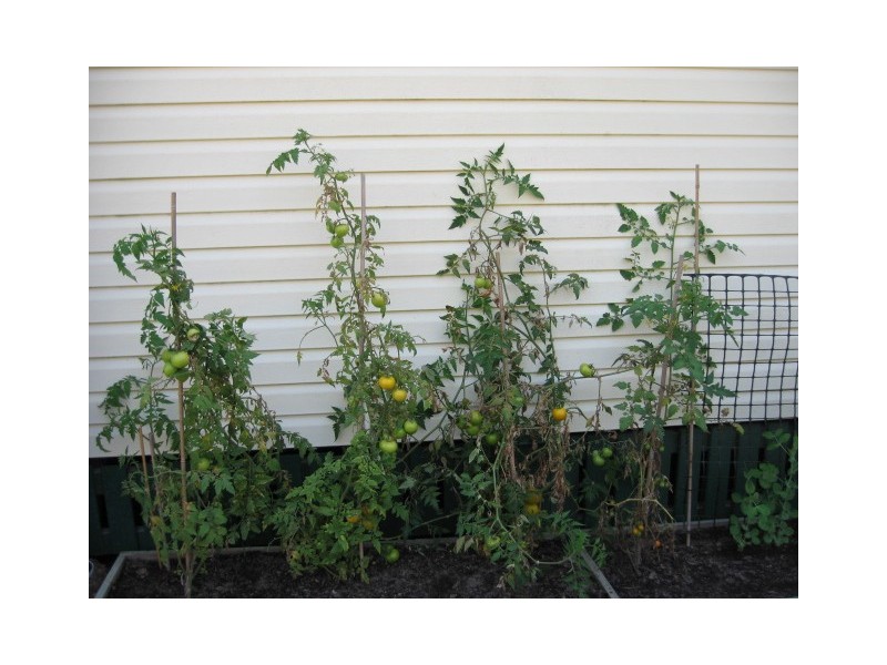 Site 47 Sugar Coast Mobile Park, 208 Elizabeth St, Urangan QLD 4655