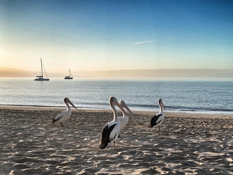 Unit 2, 7-9 Cypress Street, Torquay QLD 4655