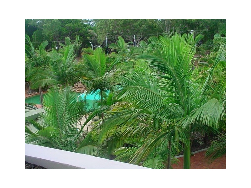 Unit 429/386 Esplanade, Hervey Bay QLD 4655