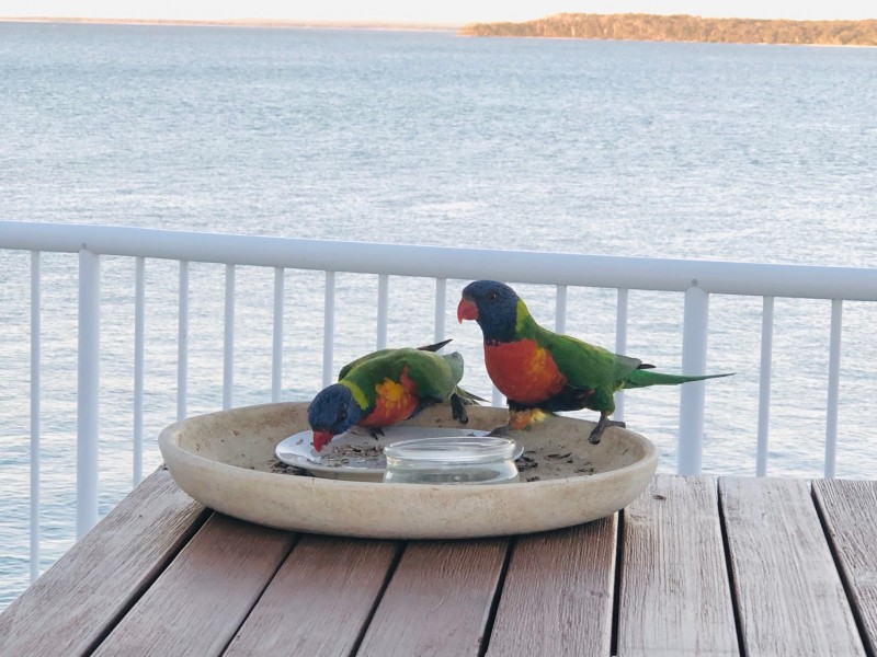 U60 Great Sandy Straits Marina Resort, Urangan QLD 4655