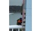 U60 Great Sandy Straits Marina Resort, Urangan QLD 4655