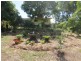 4 Barry Street, Torquay QLD 4655