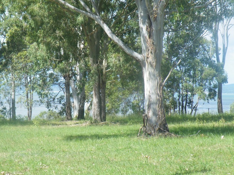 37 Fraser Drive, River Heads QLD 4655