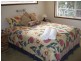 19 Limpus St, Urangan QLD 4655