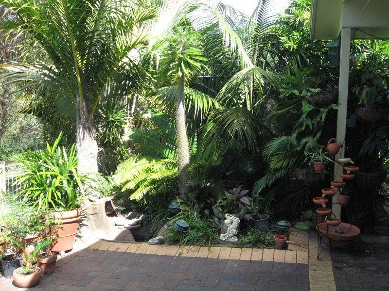 11 Anembo Drive, Torquay QLD 4655