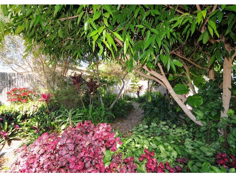 23  Petrel Avenue, River Heads QLD 4655