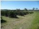 284 Lower Mountain Road, Dundowran QLD 4655