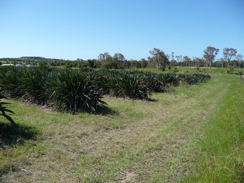 284 Lower Mountain Road, Dundowran QLD 4655