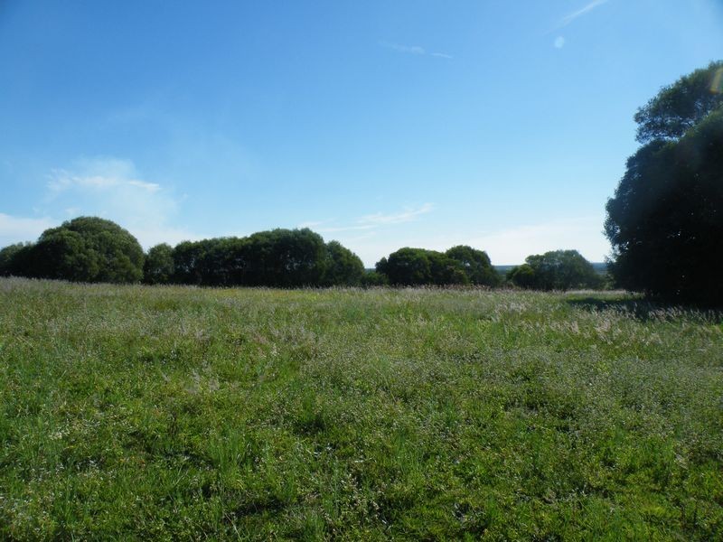 6 Cove Blvd, River Heads QLD 4655
