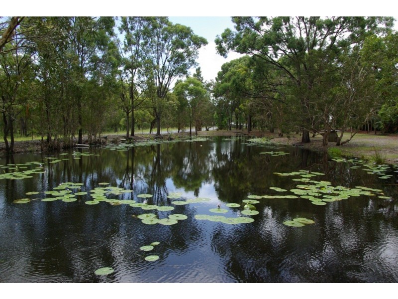 18 Doolong Road South, Wondunna QLD 4655