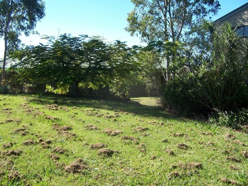 17  Rohan Way, Kawungan QLD 4655