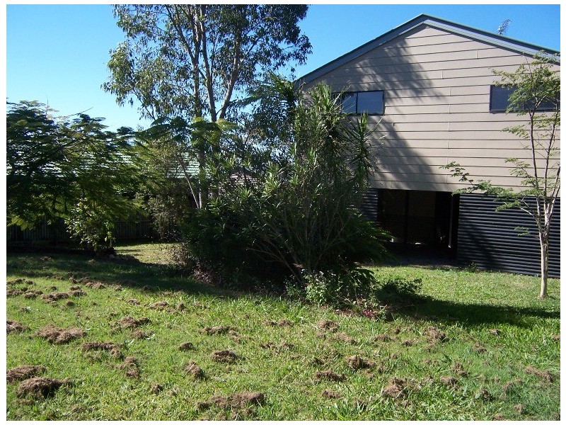 17  Rohan Way, Kawungan QLD 4655