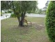 46 Ocean Street, Torquay QLD 4655