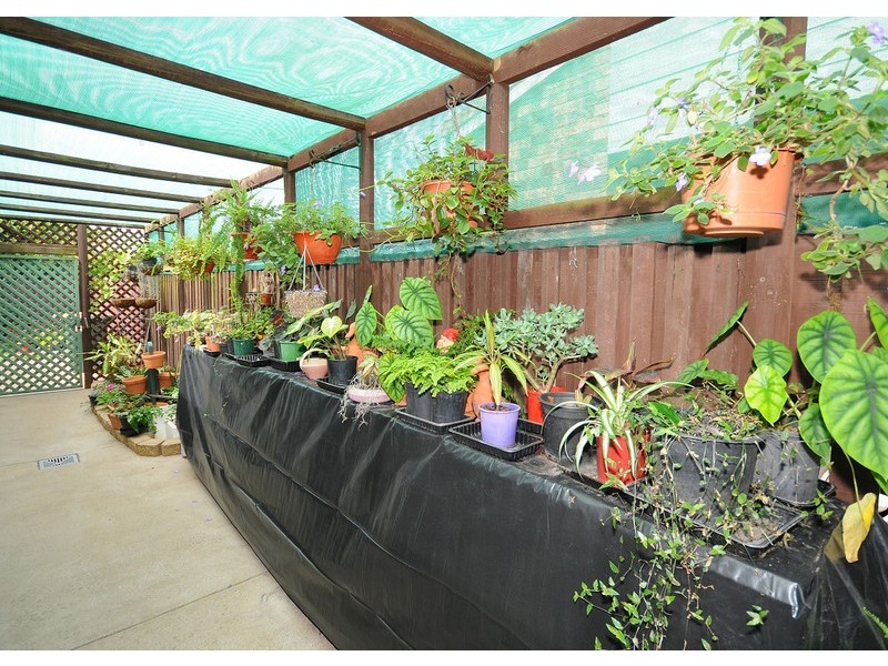 19 Turrum Street, Scarness QLD 4655