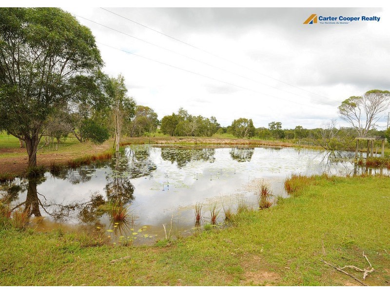 1 Tanzi  Place, Sunshine Acres QLD 4655