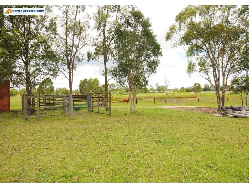 1 Tanzi  Place, Sunshine Acres QLD 4655