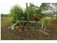 1 Tanzi  Place, Sunshine Acres QLD 4655
