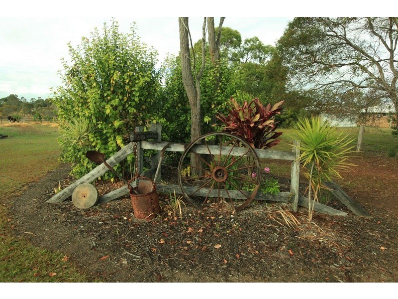 1 Tanzi  Place, Sunshine Acres QLD 4655