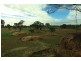 1 Tanzi  Place, Sunshine Acres QLD 4655