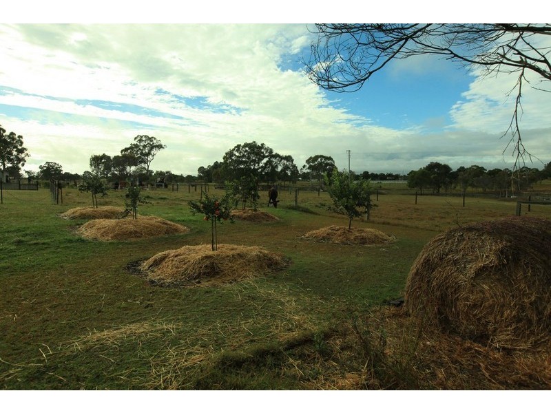 1 Tanzi  Place, Sunshine Acres QLD 4655