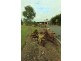 1 Tanzi  Place, Sunshine Acres QLD 4655