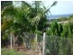 10 Rocky Glen Court, Craignish QLD 4655