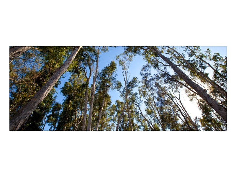 Urraween QLD 4655