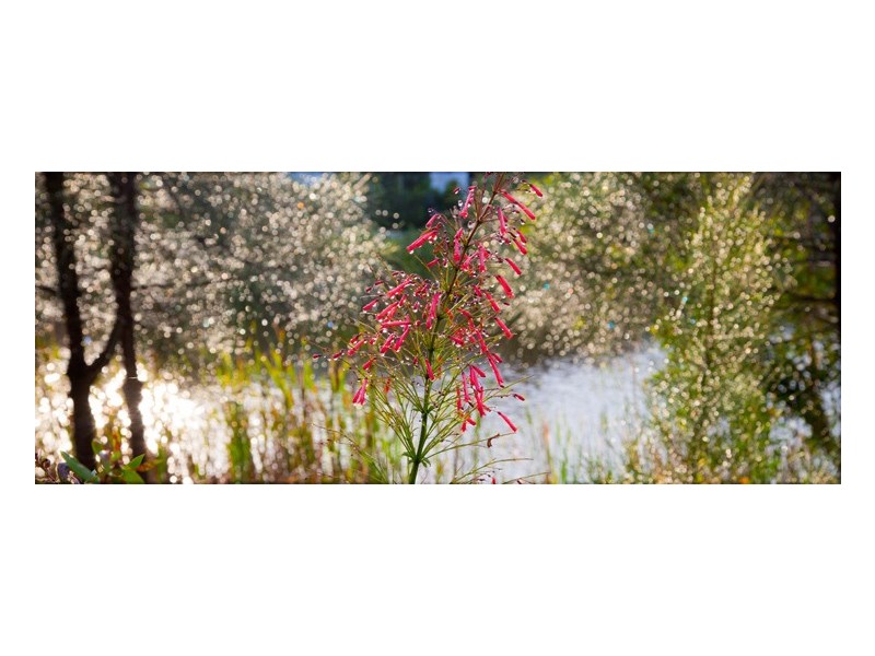 Urraween QLD 4655