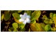 Urraween QLD 4655