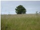 85  Straits Outlook, Craignish QLD 4655