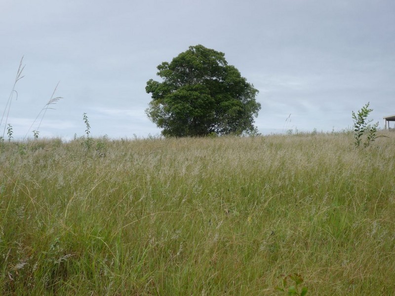 85  Straits Outlook, Craignish QLD 4655