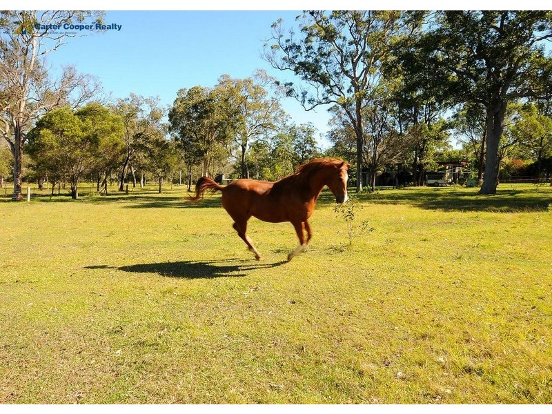 103 Moes Road, Walligan QLD 4655